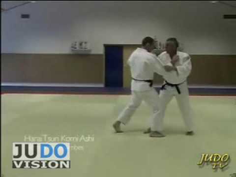 JUDO TECHNIQUES: Frederic Demontfaucon - Harai Tsuri Komi Ashi