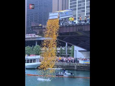 , title : 'Why Americans Dumping 90000 Toy Ducks In River |😲😲| #shorts'