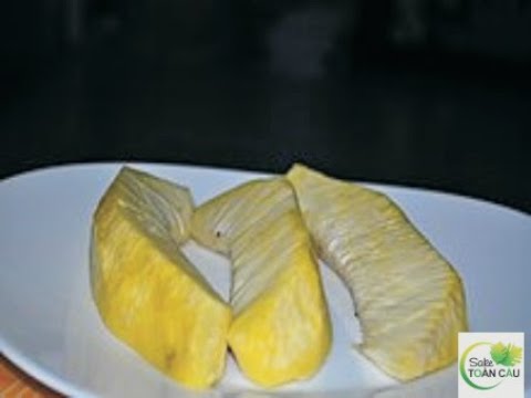 Món ăn nhẹ - Sake hấp lá dứa| Lesson # 4 | Sake Toàn Cầu - Taste of Trini Trinidad Breadfruit