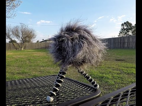 video
