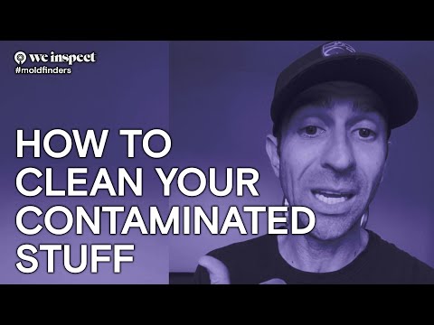How To Clean Your Moldy Stuff  |  We Inspect