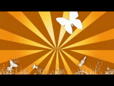 Feito Borboleta video
