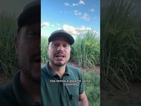 Você sabia que a região de Catanduva/SP tem esse tanto de usinas ?Conhece alguma ou já trabalhou lá?