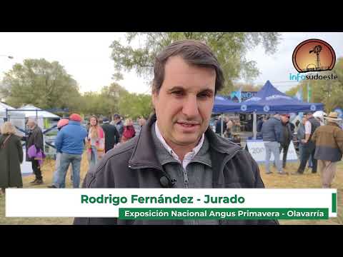 Exposición Nacional Angus Primavera en Olavarría.