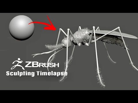 Zbrush - Mosquito Sculpting Timelapse