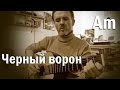 черный ворон, кавер гитара, Am тональность, 