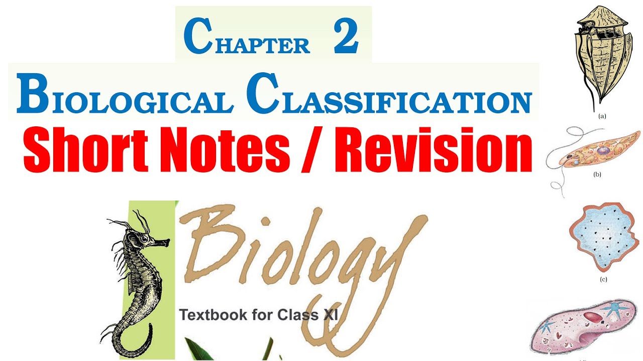 2. Biological Classification (Short Notes) | Class 11 Biology NCERT