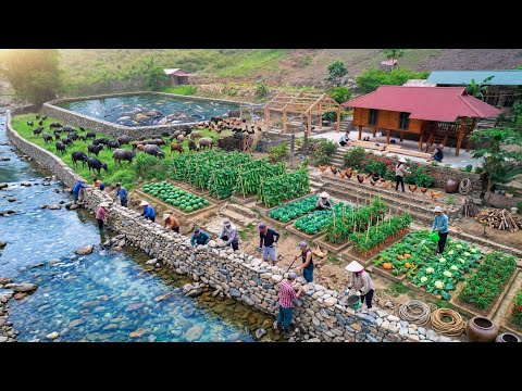 Stone Wall, Wooden House & Vegetable Garden — Full Build | Off Grid Living Vietnam