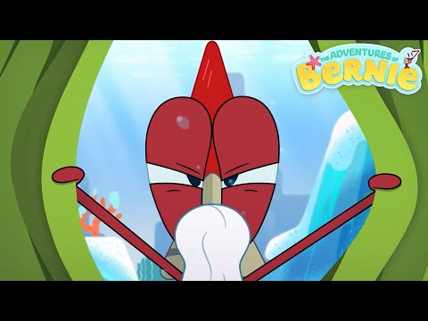 NEW The Adventures of Bernie 👴 GRAND FATHER BERNIE 🔺 Zig & Sharko - Cartoons for Kids