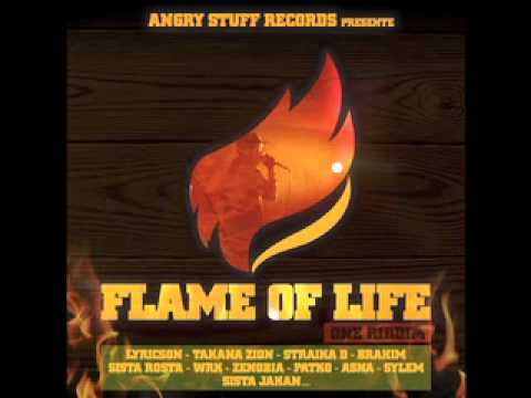 MEGAMIX FLAME OF LIFE - ANGRY STUFF RECORDS