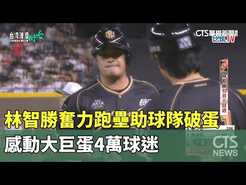 林智勝奮力跑壘助球隊破蛋　感動大巨蛋4萬球迷