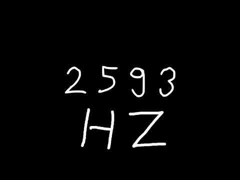 2593 hz