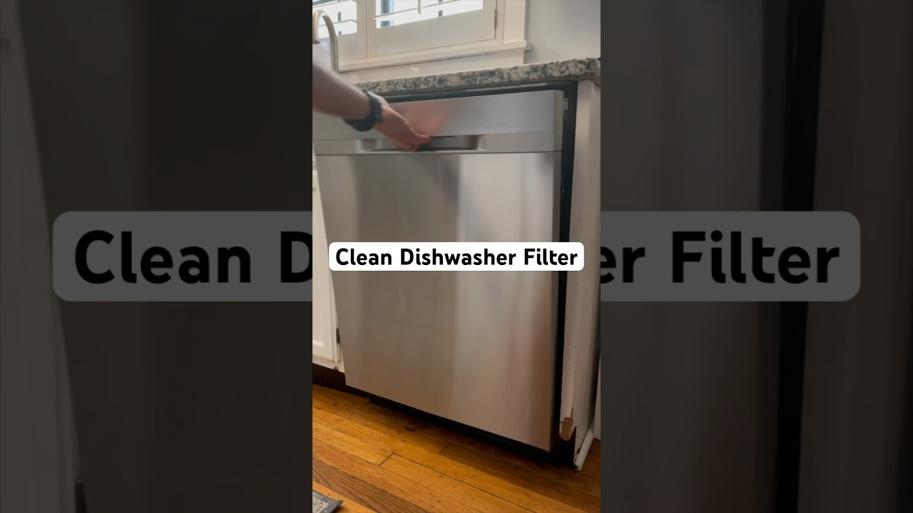 Dishwasher Filter Cleaning