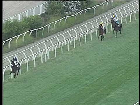 Galoppo 26/07/2017 - 4ª corsa