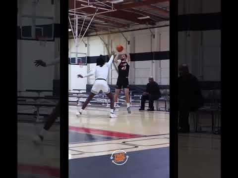 Yarin Levi highlights