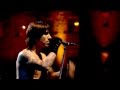 Red Hot Chili Peppers Under The Bridge LIVE Slane Castle