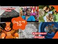 A Day In My Life Vlog Tamil Karthigaideepamtamil Aestheticvlog Mindfullness Dailyvlog Relaxing