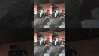 Download lagu Amagqirha mp3