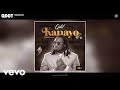 Qdot Kanayo [Radio Edit] Clean Version