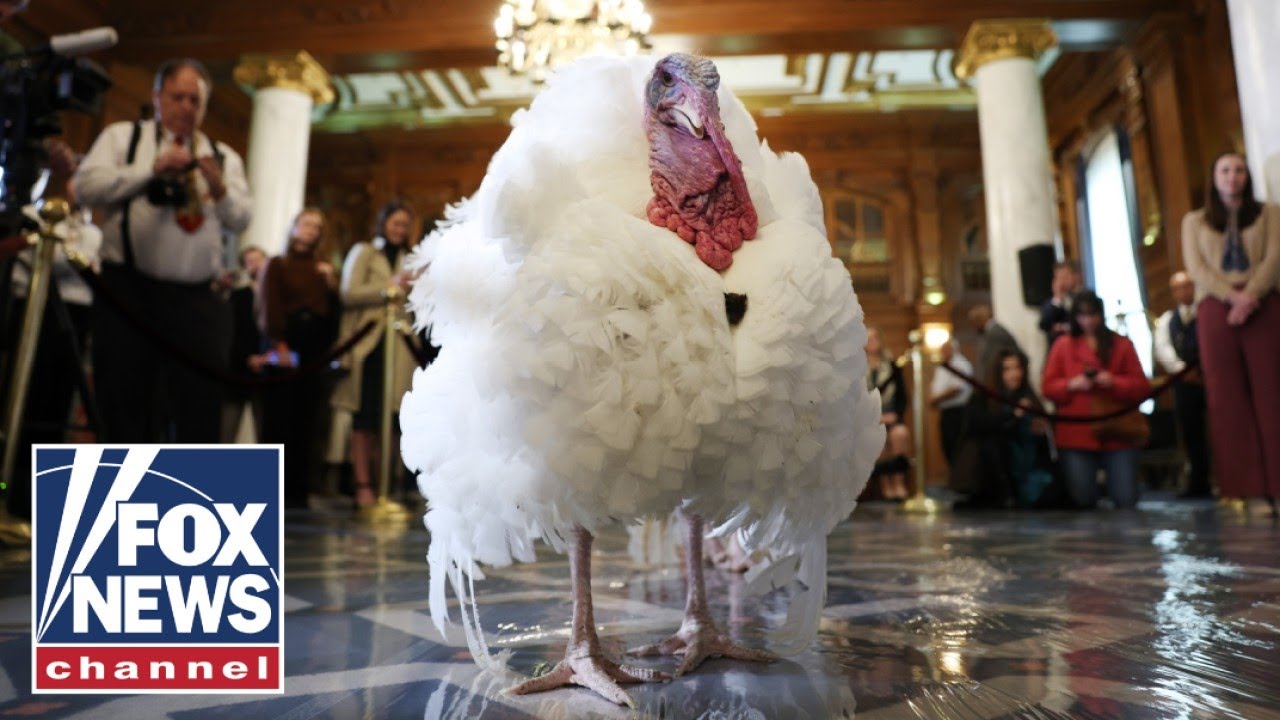 Did Trump Just Pardon MORE Than Turkeys?! You Won't BELIEVE What Happened!