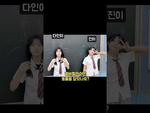 멤버들은 어떤 동물을 닮았나요??