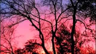 "wherever you are"  neil finn