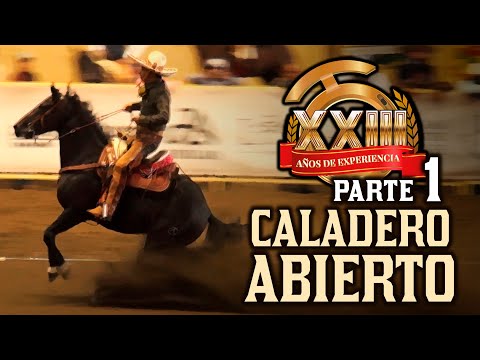 15 mejores Caladero ABIERTO parte 1 - Caladeros Millonarios 2020 THV