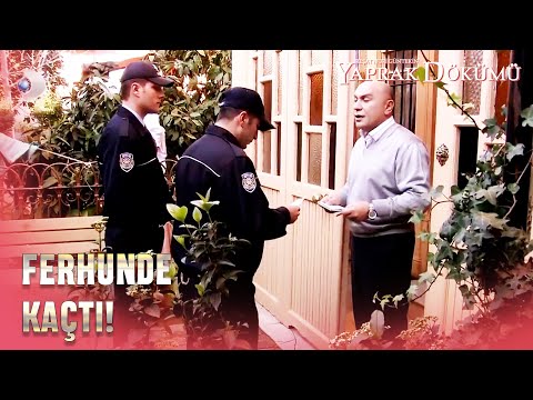 Polis, Ferhunde'nin Peşinde! - Yaprak Dökümü 139. Bölüm