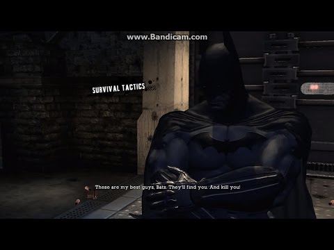 Batman: Arkham Asylum Trophy Guide & Road Map