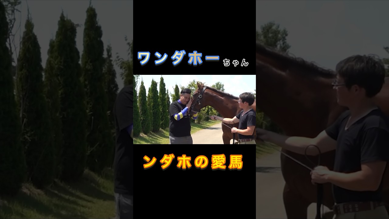 【癒し】ンダホの愛馬！ #フィッシャーズ切り抜き #フィッシャーズ #シルクロード #モトキ #マサイ #ンダホ #ザカオ #ダーマ #馬 #競走馬 #shorts #short