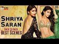 Shriya Saran Back To Back Best Scenes Shriya Saran Latest Telugu Movie Mango Telugu Cinema