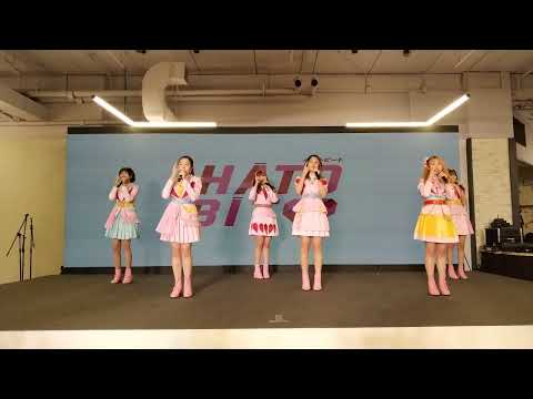 Hatobito : Forget Me Not @ BHF Iconic Idol Fest 2022 - Season Square【4K】