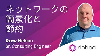 IPoDWDM: シンプルにして節約