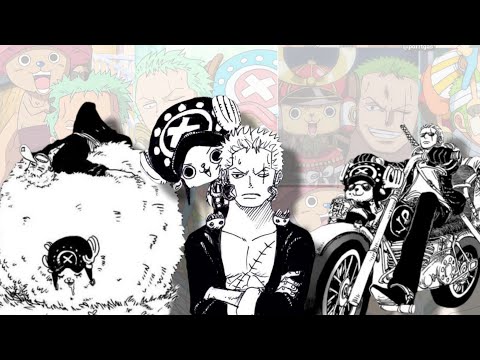 Zoro and chopper being adorable for 2 mins.