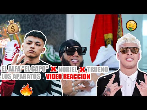 EL ALFA 'EL CAPO ❌ NORIEL❌  TRUENO -LOS APARATOS 💸💸✈️