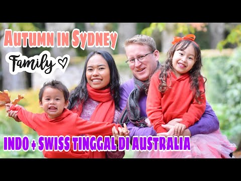 musim-gugur-di-sydney-bule-jadi-supir-pribadi-indahnya-mount-wilson