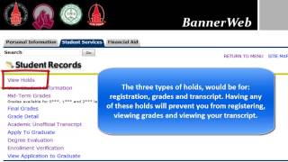 How to View Student Records through Banner Web