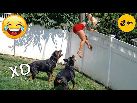 SI TE RÍES PIERDES NIVEL DIOS #171 🤣 VIDEOS DE RISA MUY GRACIOSOS 2026 🤣