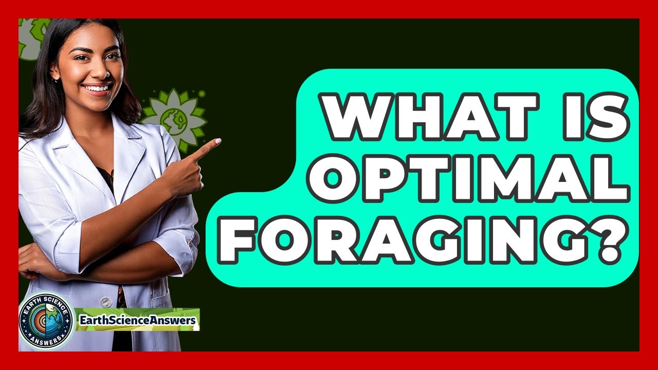 What Is Optimal Foraging? - Earth Science Answers