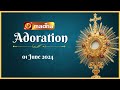 🔴 LIVE 01 JUNE 2024 | Eucharistic Adoration  11:00 AM | Madha TV