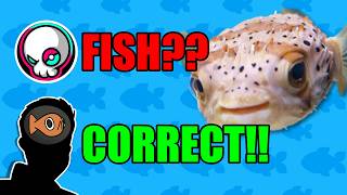 I Made A Quiz About FISH!