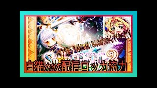 【白猫プロジェクト】まったり協力プレイ☆お騒がせお詫び&復帰共闘ライブ&勇者ガチャ #54【あむちゃん！】