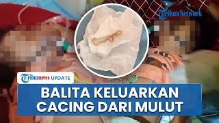 Kasus Balita Keluarkan Cacing Terjadi Lagi, Kali Ini di Bengkulu Gara-gara Gaya Hidup Tak Bersih