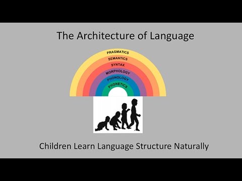 CARTA: How Language Evolves: Language in The Brain