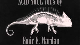 Acid soul vol. 3 by Emir E. Mardan