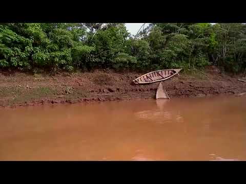 Madre de Dios  and  Tambopata  rivers in Peru