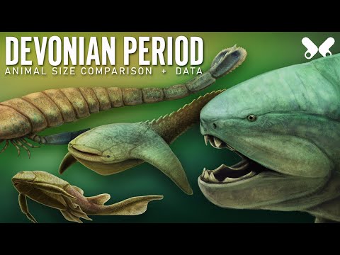 DEVONIAN PERIOD. Animals size comparison and data. Paleoart