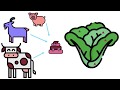 Shiga Toxin Producing E Coli STEC Introduction Video