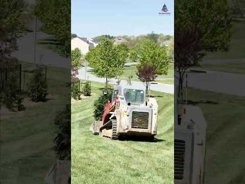 Privacy Trees 🇺🇸America Life