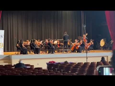 Gyula Beliczay - Serenade for Strings in D Minor, Op. 36